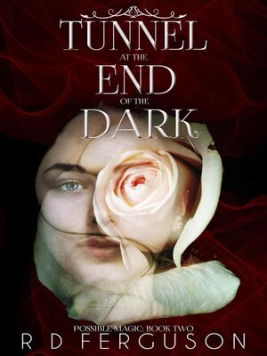 cover image of Tunnel at the End of the Dark